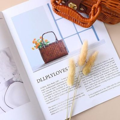 고급스러운 분위기의 촬영소품 잡지(WF3A3F3)