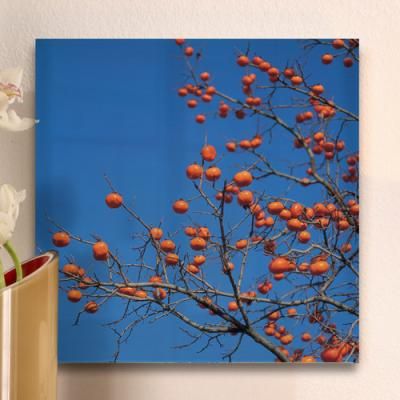 bf041-아크릴액자_금전운이가득한풍수감나무(중형)