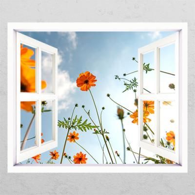 bh760-황화코스모스_창문그림액자