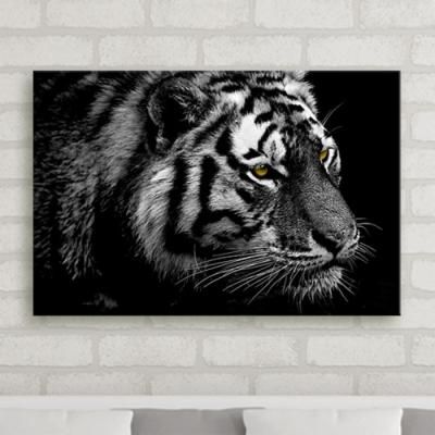 cu538-맹수의카리스마눈빛_중형노프레임