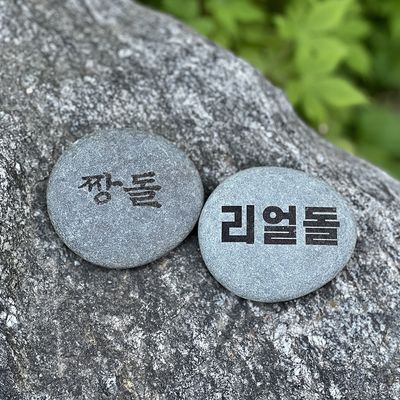 반려돌 애완돌 짱돌 리얼 쓸모없는 돌 펫스톤 키우기