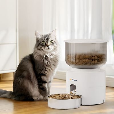 잼피 스텐304 자동급식기 펫 강아지 고양이 JP-FD001