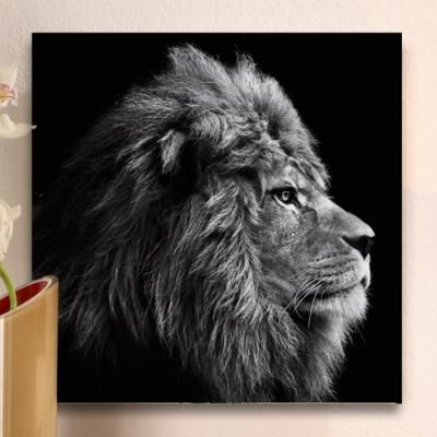 af094-아크릴액자_사자의카리스마