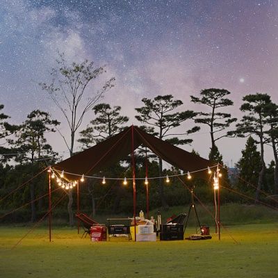 스노우아울 블랙 에디션 타프