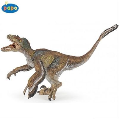 파포 모형완구 깃털달린 랩터 55055(WF42873)