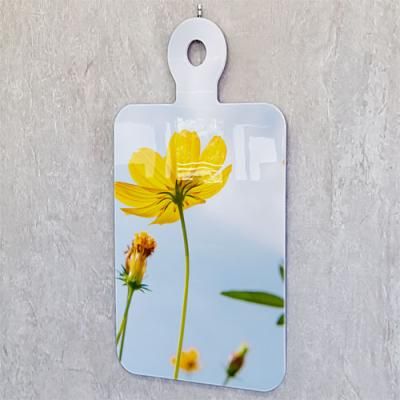 nt097-행잉액자_황화코스모스(도마B)