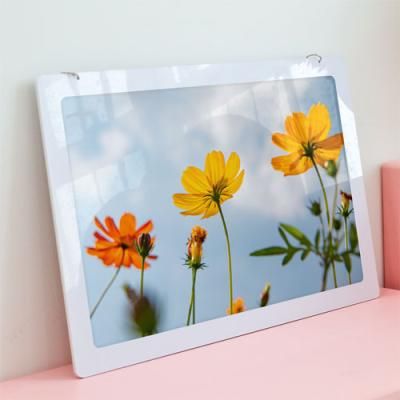 nt092-행잉액자_황화코스모스(사각가로대형)