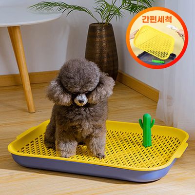 [댕댕이 화장실] 집사랑 오아시스 반려견 애견 배변판