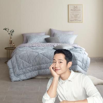 세사 알러지방지 기능성이불 알렉트 Q 피카소(그레이)