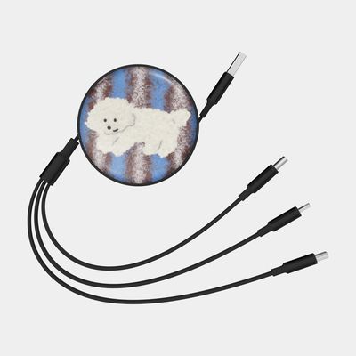 ppokku rug time [릴 타입 충전 케이블]