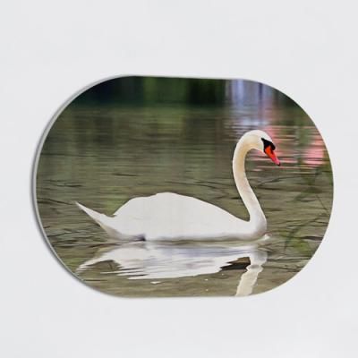 bf402-폼아크릴액자58CmX38Cm타원_호수위백조