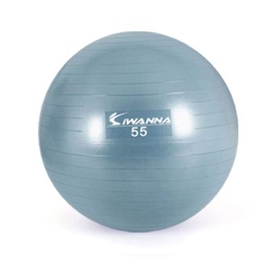 아이워너 운동 짐볼 55cm 더스티블루(WD65B12)