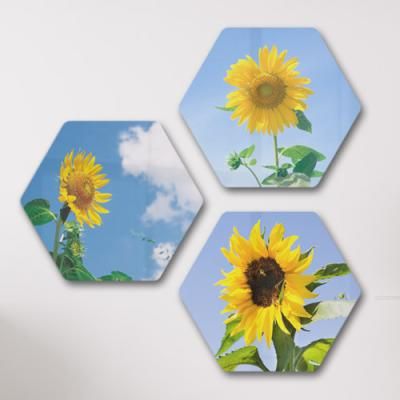 pg089-56CmX49Cm6각형대형_하늘이배경이되는해바라기