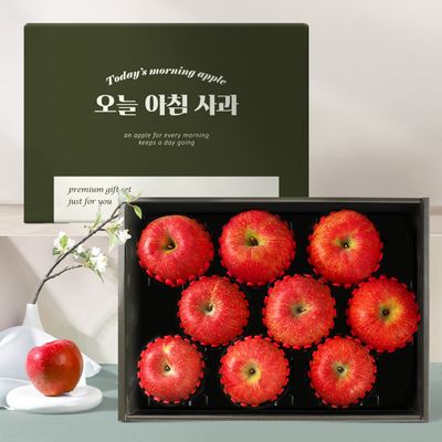[오늘아침사과] 명품 사과선물세트 3kg 9과