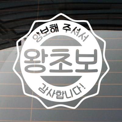 자동차스티커_엠블렘 지그원 왕초보