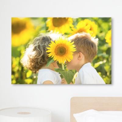 iw562-해바라기속소년소녀_중형노프레임