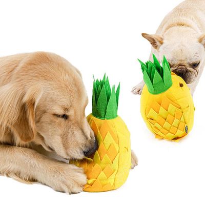 파인애플 노즈워크 간식 분리불안 훈련용품