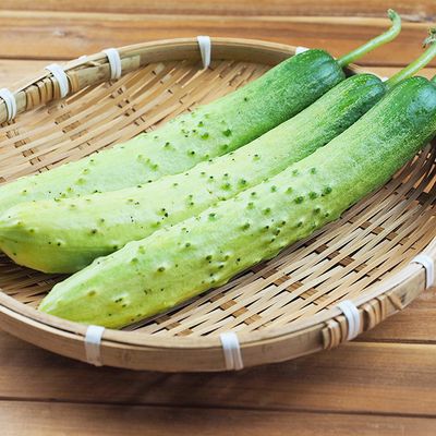 [농담] 국내산 다다기 백오이 1kg 상