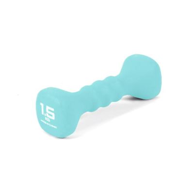 아이워너 논슬립 네오프렌 아령 덤벨 1.5kg 미용 홈트