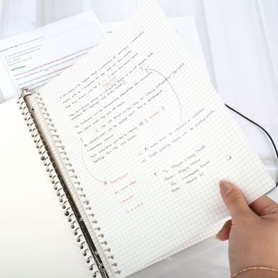 속지 노트 모눈노트 모눈 바인더속지 바인더 다이어리 노트리필 메모노트 모눈종이(WFOMOFG)