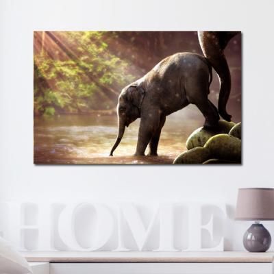 캔버스액자 자연 세렝게티 아기코끼리 B타입 35x35cm