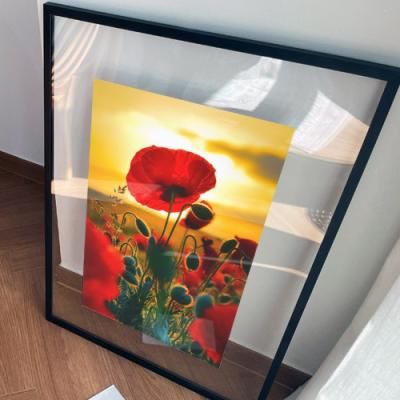 tj152-투명액자56CmX78Cm_돈들어오는양귀비꽃