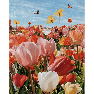 DIY 명화 그림그리기 세트 40x50 사랑스러운 튤립