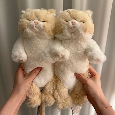 무릎인형 미니 잠자는 쓰야쓰야 고양이 CR 애착 인형