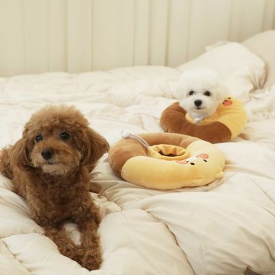 카카오프렌즈 춘식이 반려동물 넥카라 중성화수술