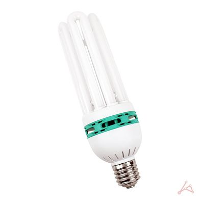 고와트 주광색 E39 장수 75W 형광등색(WFG03PX)