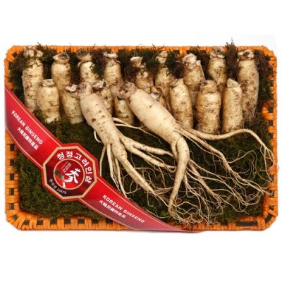 [금산인삼] 비단외 명품수삼 1.5kg/17~19편(왕특)