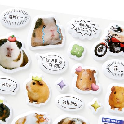 아트박스 기니피그 폭신스티커