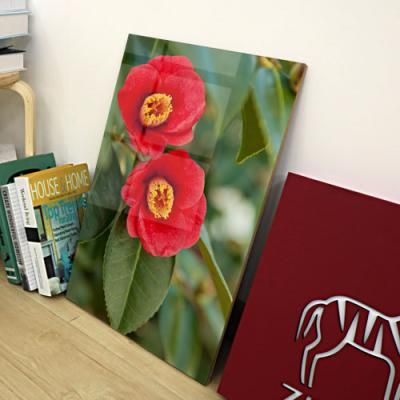 tk097-아크릴액자_동백꽃필무렵