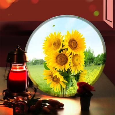 ne300-LED액자45R_맑은하늘해바라기_LED사인