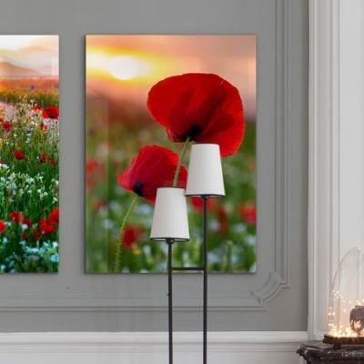 da302-폼아크릴액자56CmX78Cm_재물이들어오는양귀비꽃