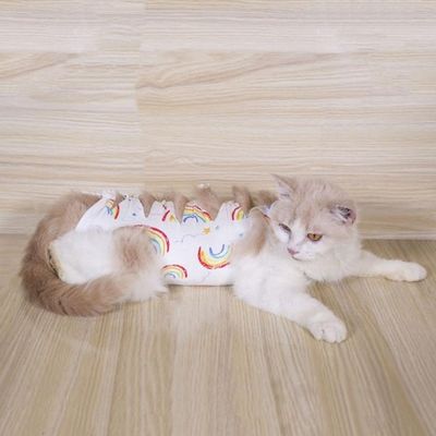 키밍 리본 고양이 무지개 중성화복 강아지 수술복[W7B