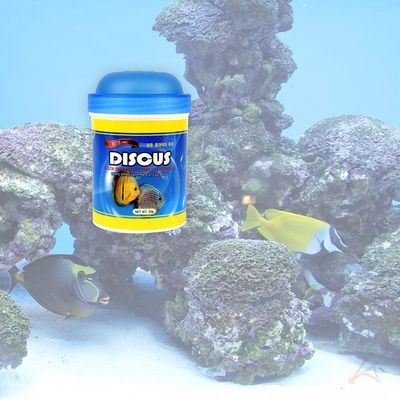 55g 비트 모든 주식 열대어의(WDEE779)