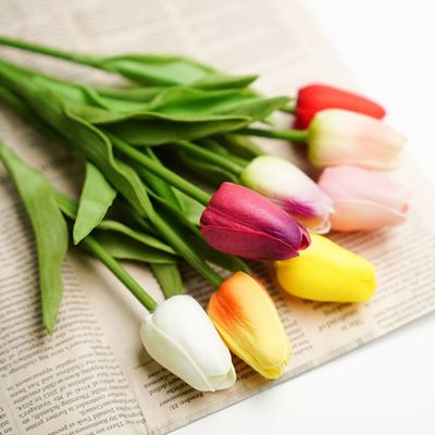 러블리 망고 튤립(WCDF0B7)