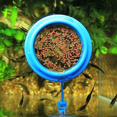 구피 물고기 피딩 컵 트레이(WFFYFRM)