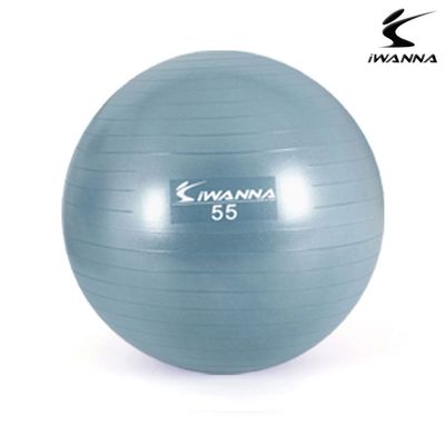 짐볼 더스티블루 짐볼 다이어트 55cm(WFJJWPQ)