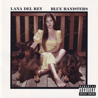 BLUE BANISTERS