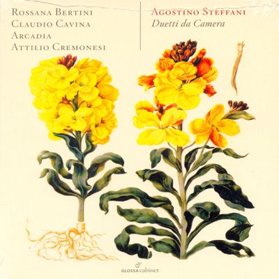 DUETTI DA CAMERA/ ROSSANA BERTINI, CLAUDIO CAVINA