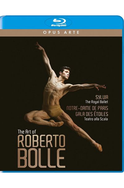 THE ART OF ROBERTO BOLLE [로베르토 볼레의 예술]