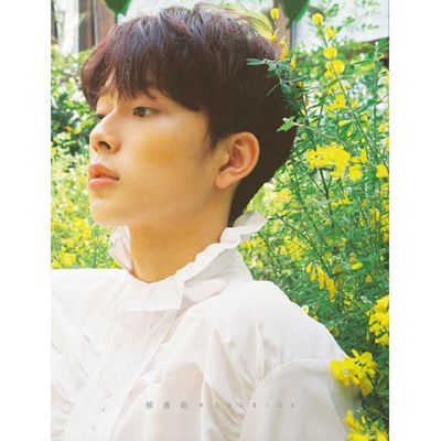 봄, 선호 [미니 1집]