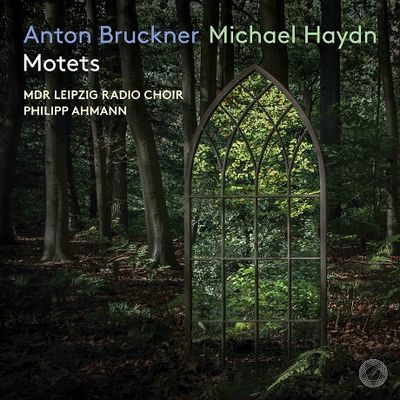 MOTETS/ PHILIPP AHMANN [SACD HYBRID] [브루크너 & 미하엘 하이든: 모테트 작품집 - MDR 방송합창단, 필립 아만]