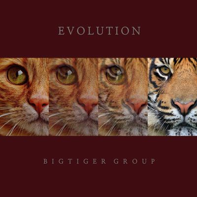 EVOLUTION
