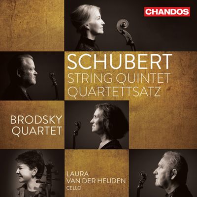 STRING QUINTET & QUARTET/ LAURA VAN DER HEIJDEN, BRODSKY QUARTET [슈베르트: 현악 사중주 12번 <단악장>, 현악 5중주 - 브로드스키 사중주단]