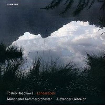 LANDSCAPE/ ALEXANDER LIEBREICH
