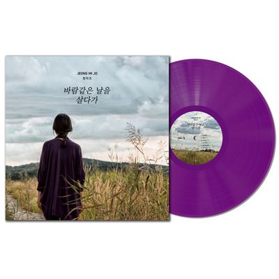 바람같은 날을 살다가 [180G 퍼플 LP]