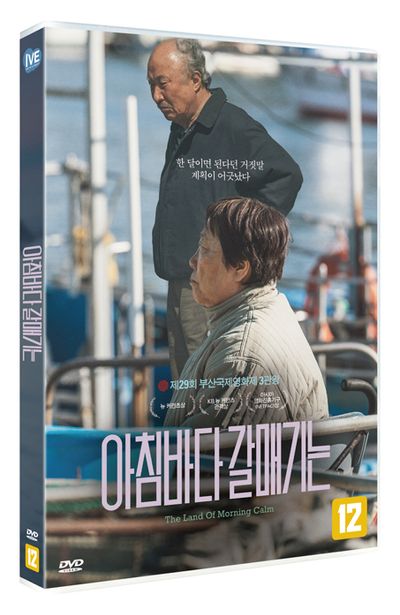 아침바다 갈매기는